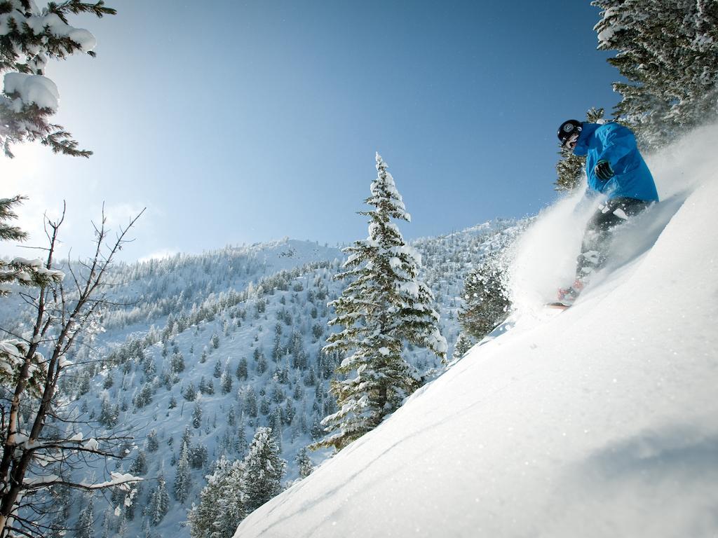Panorama Mountain Resort - Ski Tip / Tamarack Condos Eksteriør bilde